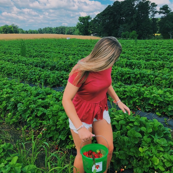 Meet your Posher, Camden - Picture 1 of 1